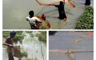 সেকালের আষাঢ়ঃ মাছ ধরার বাজার