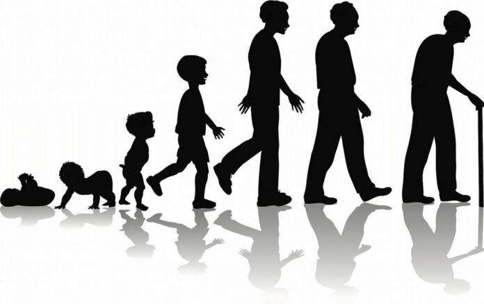 life-cycle-1024x644